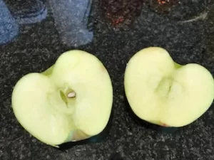 Apples-in-edmonds-washington