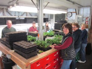 Community-Projects-Greenhouse
