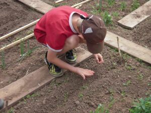 Garden-grants-for-kids