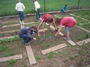 school-garden-grants-for-kids