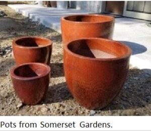 Somerset-Gardens-Edmonds-Raffle