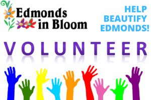 edmonds volunteer