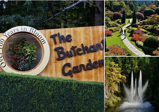 Butchart-Gardens