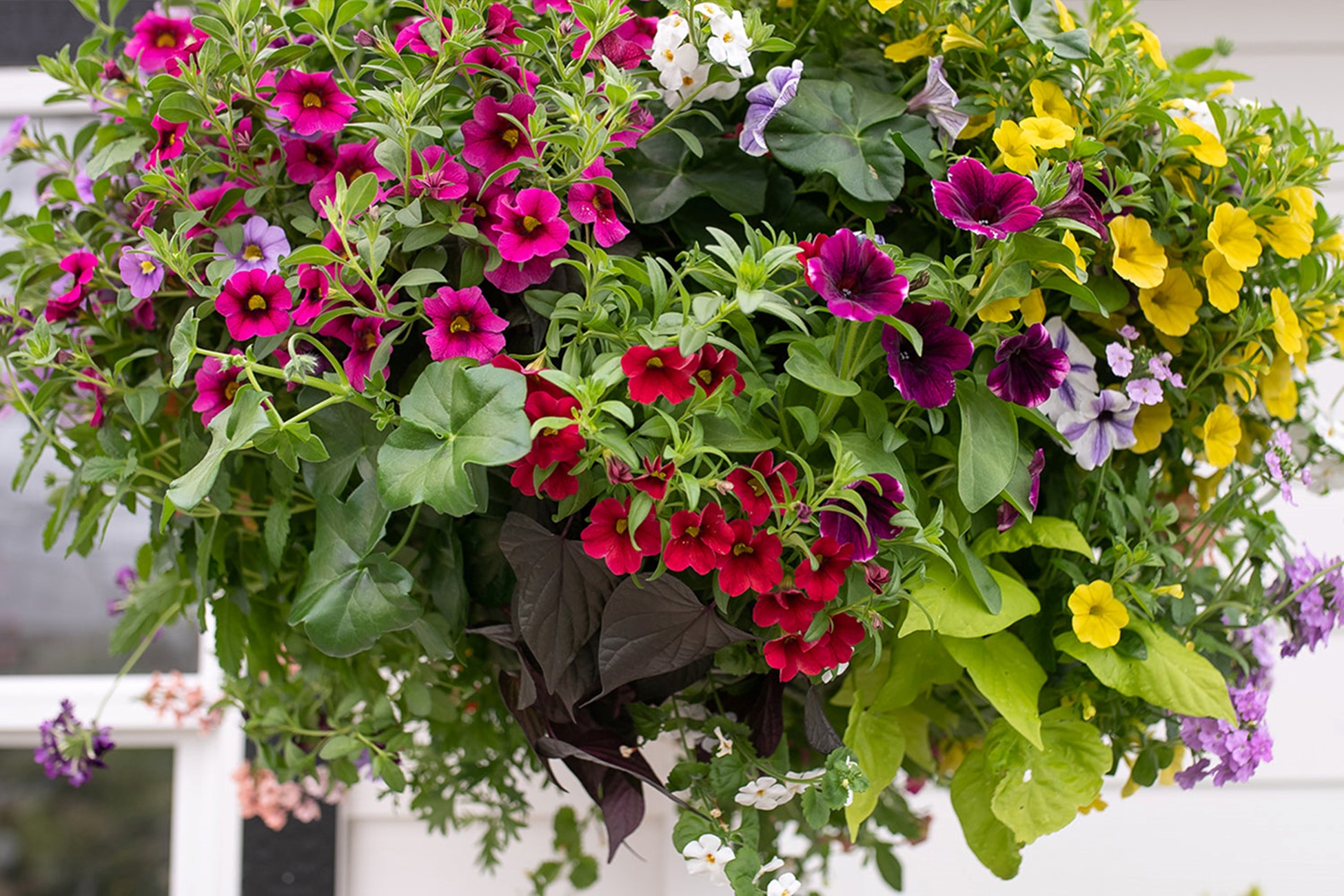 Flower_Baskets-in-Edmonds