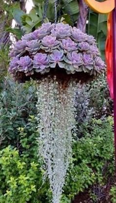 Hanging-flower-baskets-in-Edmonds