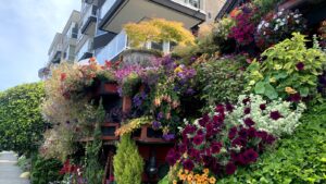 Alki-Beach-Flower-houses