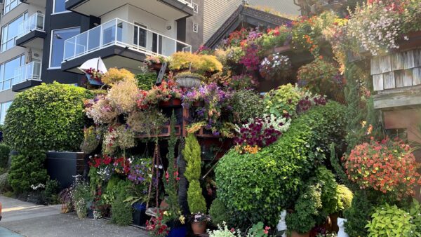 Alki_Flower-Houses