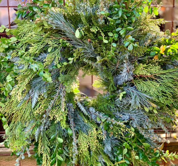 Fragrant_Greens-From-Edmonds-Garden