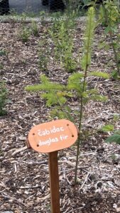 SUGi Pocket Forest at the Shoreline Historical Museum