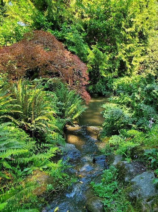 Kubota Gardens