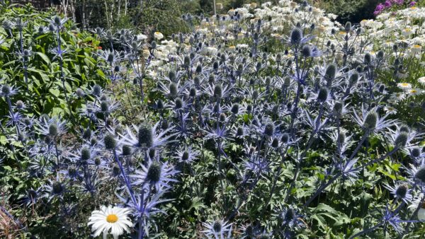 Center-for-Urban-Horticulture-at-UW