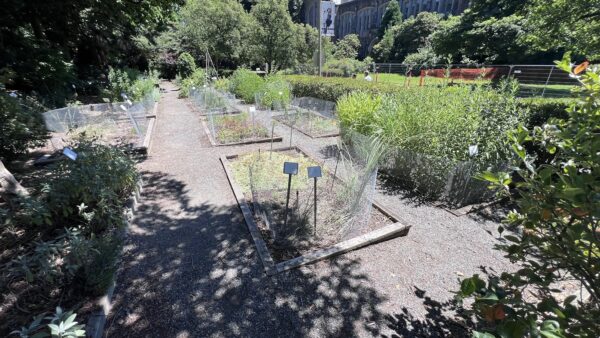 UW Herb Garden