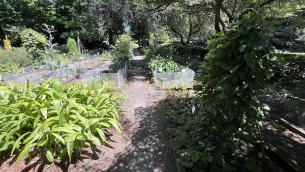 UW Botanical Herb Garden