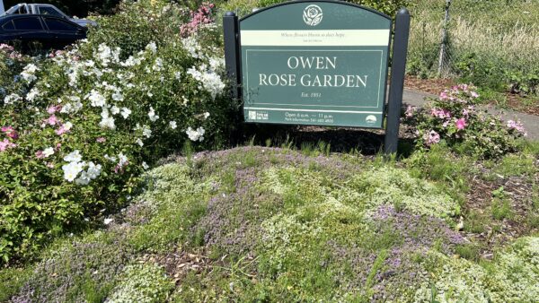 Owen-Rose-Garden-Oregon