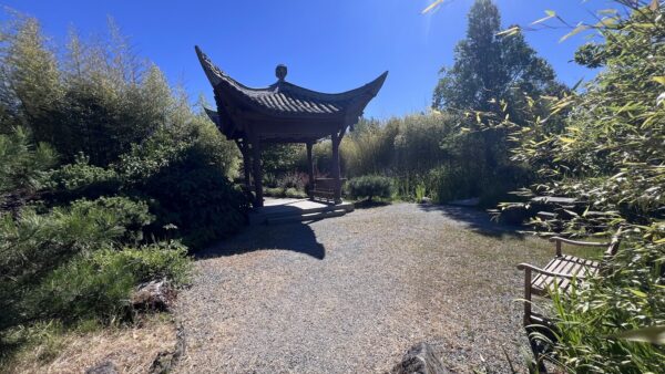 South-Seattle-College-Chinese-Garden