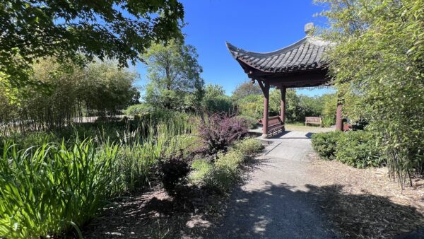 South-Seattle-College-Chinese-GardenSouth-Seattle-College-Chinese-Garden