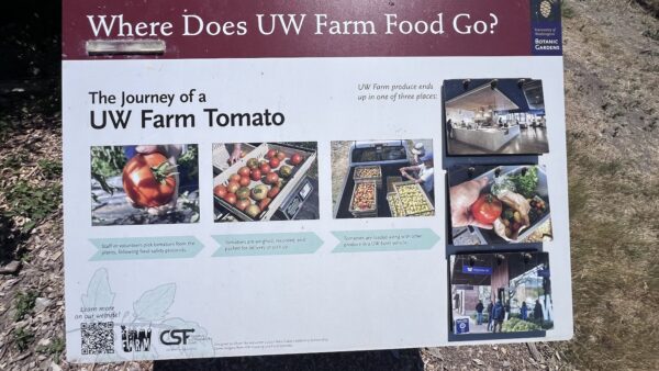 UW-Farm-Tomato