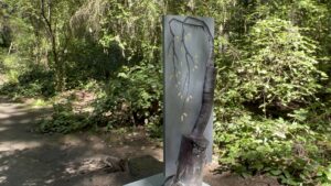 Whidbey-Island-Price_Sculpture-Forest