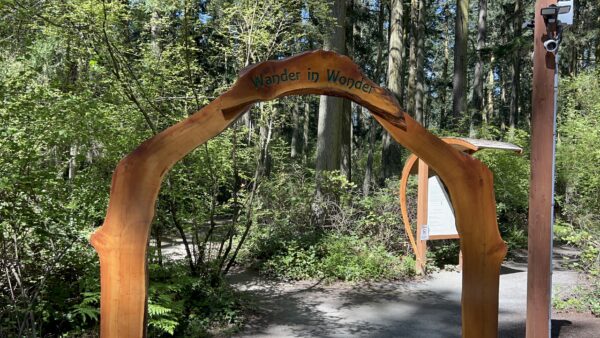 Whidbey-Island_Price_Sculpture-Forest