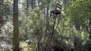 Whidbey-Island_Price_Sculpture_Forest-3