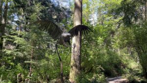 Whidbey-Island_Price_Sculpture_Forest