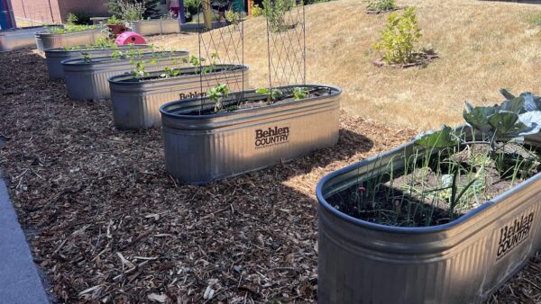 College-Place-Elementary-Garden