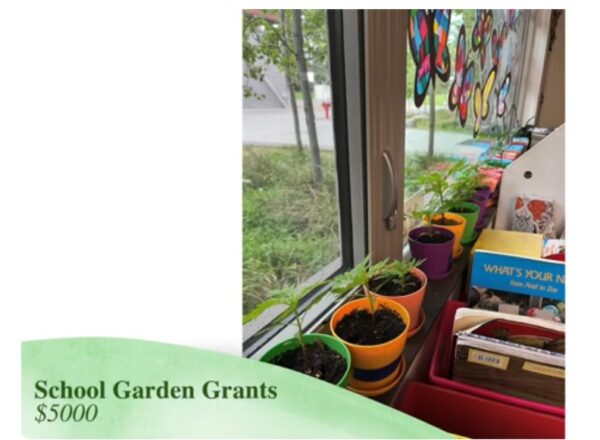 Edmonds-School-Garden-Grants