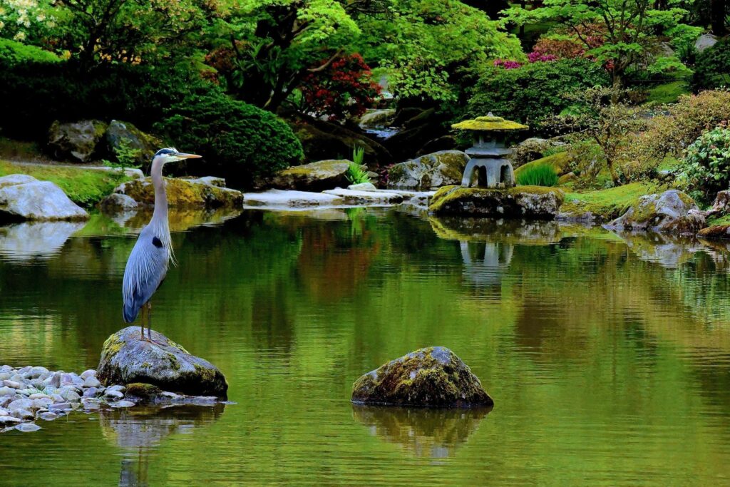 Seattle-WA_Japanese-Garden