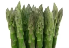 Growing_Asparagus_in_Edmonds-Washington-600x397Growing_Asparagus_in_Edmonds-Washington-600x397